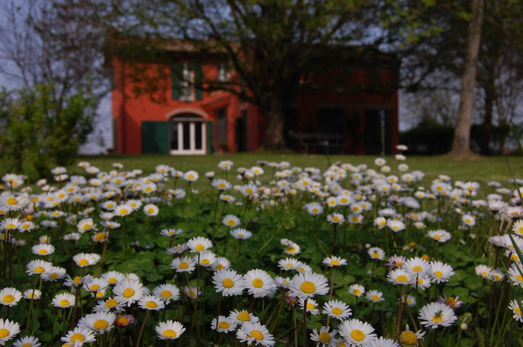 B&B L'Alberone Budrio  Exterior photo